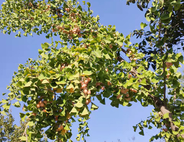 试验机厂家 试验机厂家